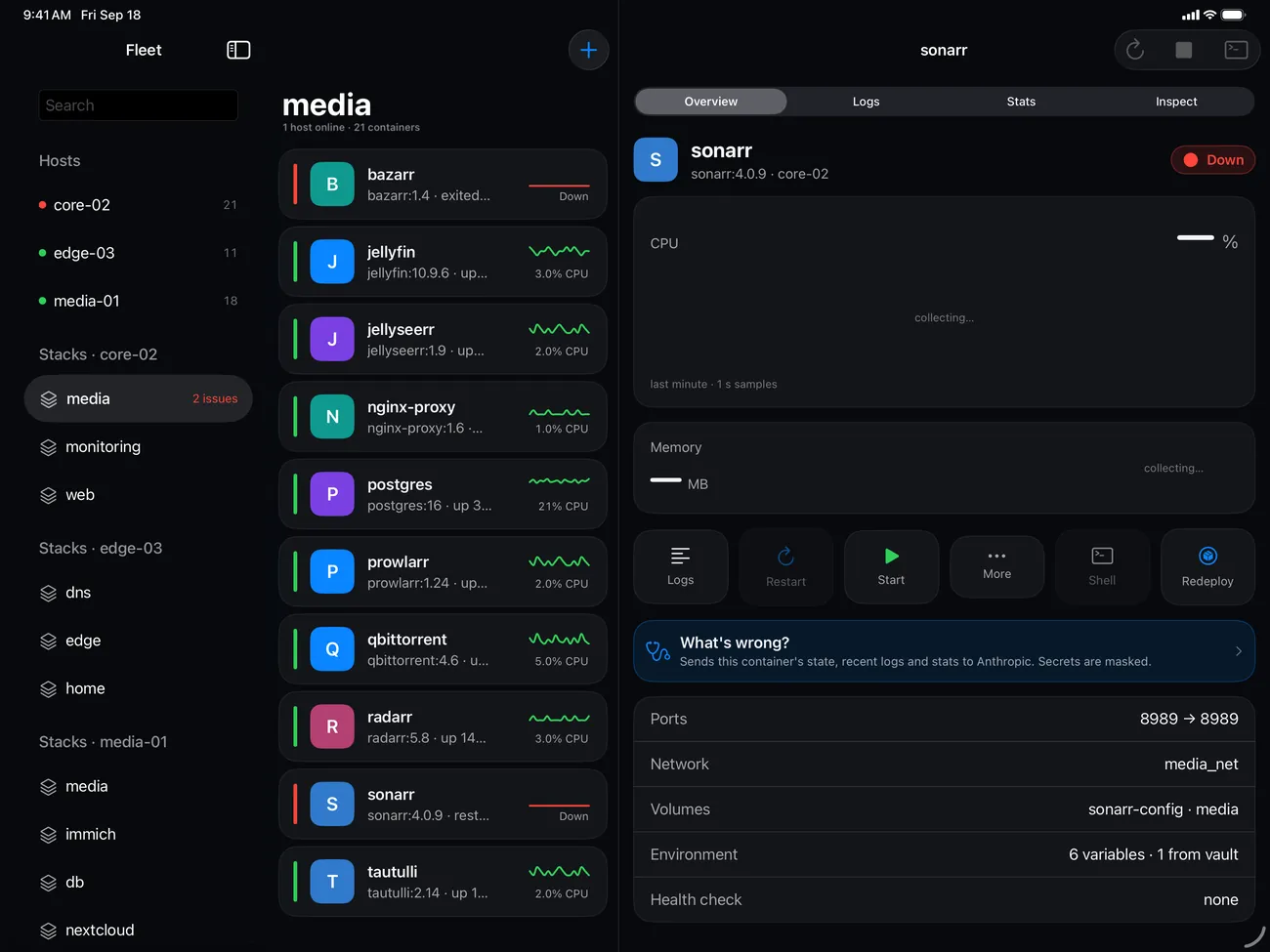meshDeck on iPad: a sidebar of hosts and stacks, a list of containers and the detail of one container